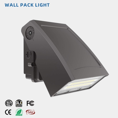 WPD2 Series LED Wall Pack Light
