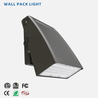WPD2 Series LED Wall Pack Light
