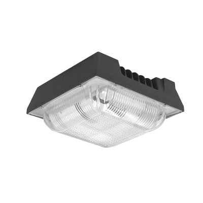 CNPA Series LED Canopy Light