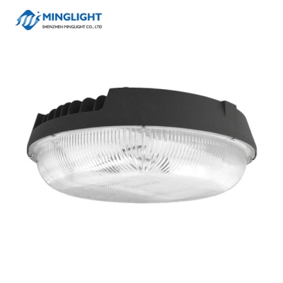 CNPB Series LED Canopy Light